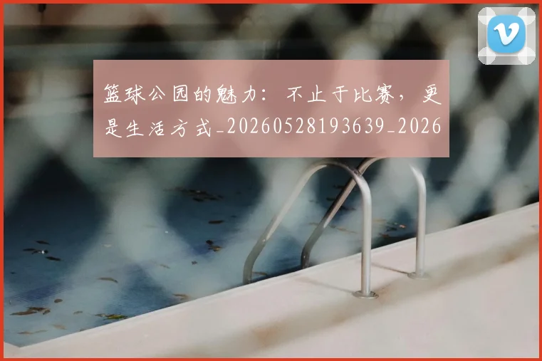 篮球公园的魅力:不止于比赛,更是生活方式_20260528193639_20260610000016